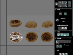 Walnut Shell 3D Model