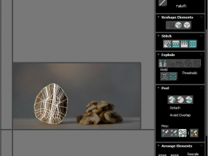 Walnut Shell 3D Model