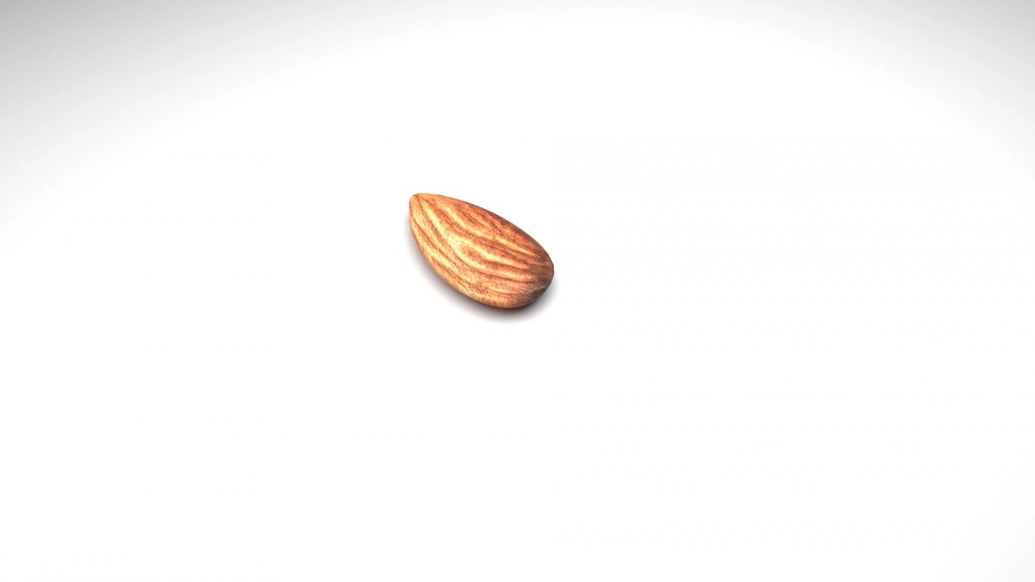 Almond 3D Model .c4d .max .obj .3ds .fbx .stl .blend