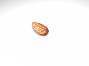 Almond Modelo 3D