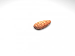 Almond 3D Model