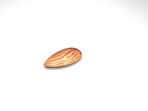 Almond Modelo 3D