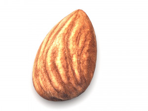 Almond Modelo 3D