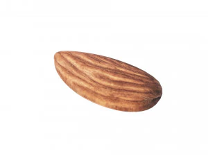 Almond 3D Model