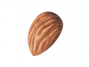 Almond 3D Model