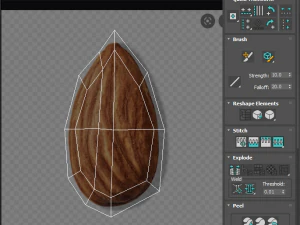 Almond 3D Model