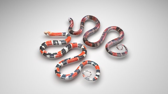 Snakes Model 3D .c4d .max .obj .3ds .fbx .stl .blend 