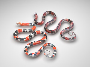 Snakes 3D Model