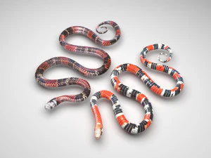 Snakes 3D Model