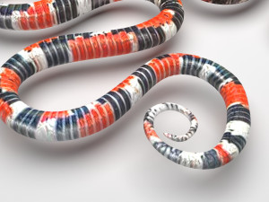 Snakes Model 3D