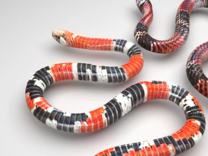 Snakes 3D Model