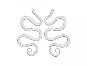 Snakes 3D Model