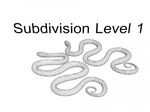 Snakes 3D Model