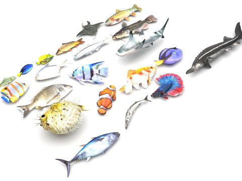 Fishes Set Modelo 3D