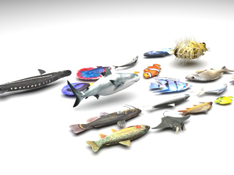 Fishes Set 3D Model