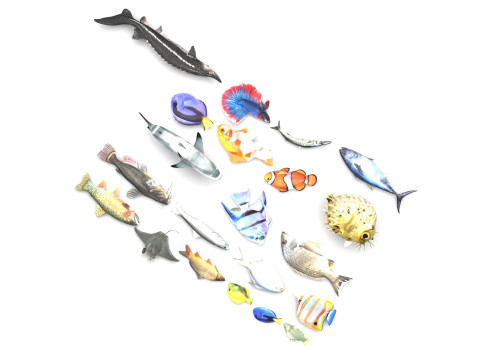 Fishes Set 3D Model