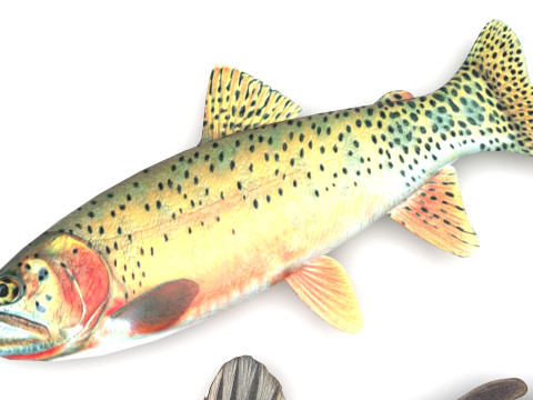 Fishes Set 3D Model