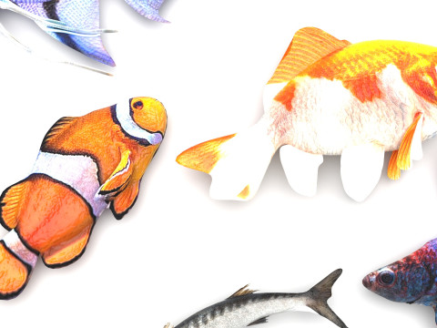 Fishes Set 3D Model
