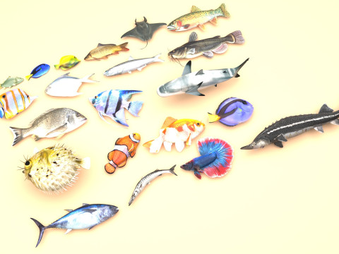 Fishes Set 3D Model