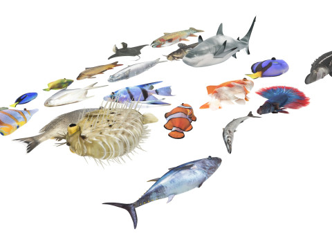Fishes Set 3D Model