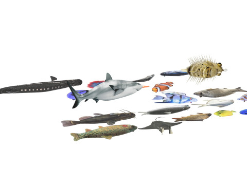 Fishes Set 3D Model