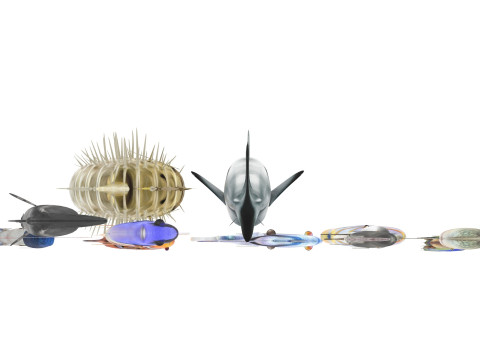 Fishes Set 3D Model