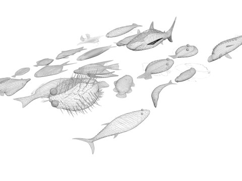 Fishes Set 3D Model