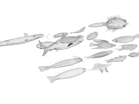 Fishes Set 3D Model