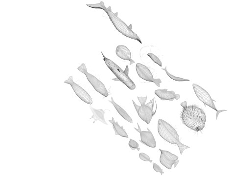 Fishes Set 3D Model