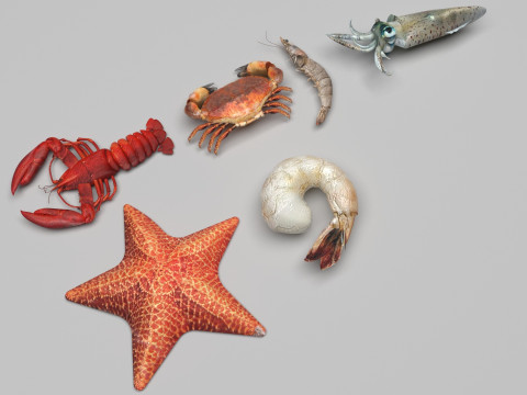 Sea Creatures Set 3Dモデル