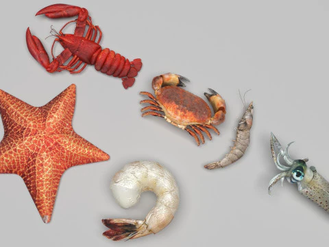 Makhluk Laut Ditetapkan Model 3D