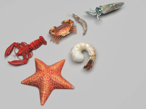 Makhluk Laut Ditetapkan Model 3D