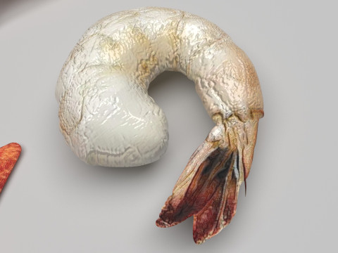 Sea Creatures Set Modelo 3D