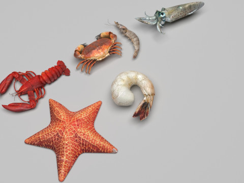 Sea Creatures Set Modelo 3D