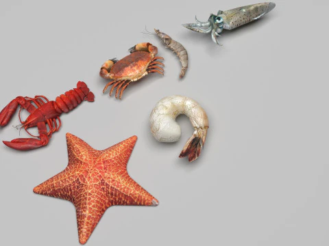 Makhluk Laut Ditetapkan Model 3D