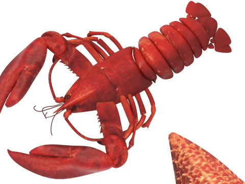 Sea Creatures Set Modelo 3D