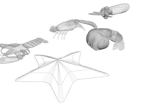 Makhluk Laut Ditetapkan Model 3D