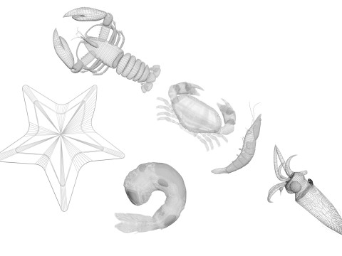 Sea Creatures Set Modelo 3D