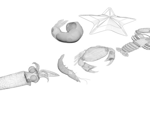 Sea Creatures Set Modelo 3D
