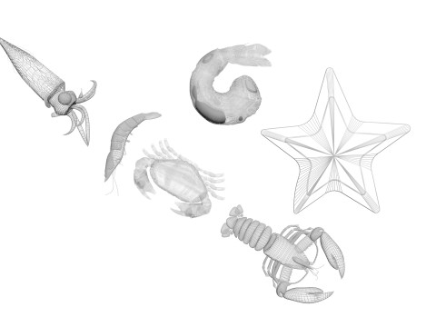 Sea Creatures Set Modelo 3D