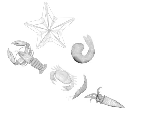 Sea Creatures Set Modelo 3D