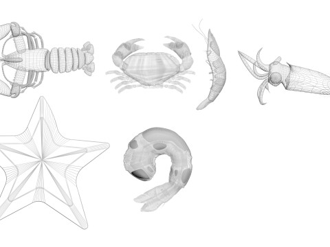 Sea Creatures Set Modelo 3D
