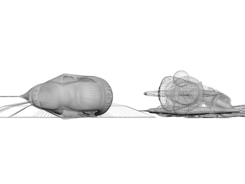Sea Creatures Set Modelo 3D