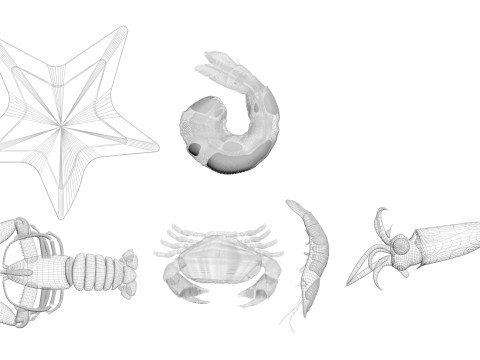 Sea Creatures Set Modelo 3D