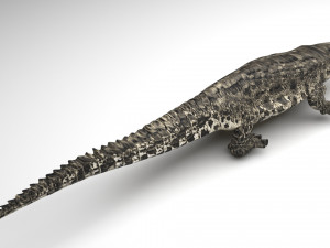 Crocodile 3D Модель