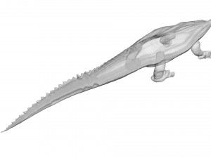 Crocodile 3D Model
