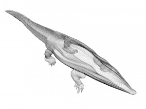 Crocodile 3D Model