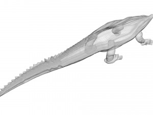 Crocodile 3D Model