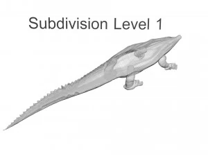 Crocodile 3D Model