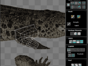 Crocodile 3D Model